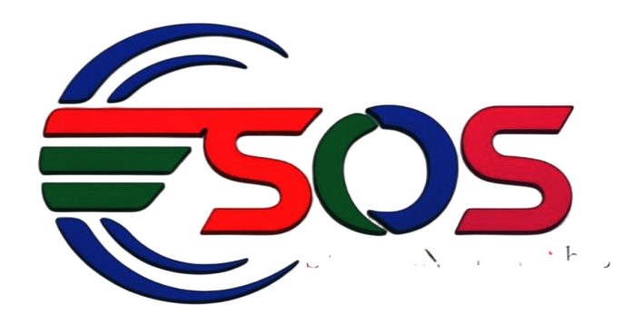 NID System Logo
